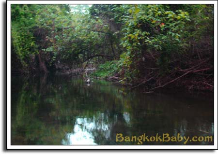 Khao Yai